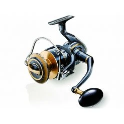 Role DAIWA 20 Saltiga (G)
