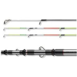 Surf DAIWA Seahunter X Variotip 2.70 30-110g - 11531-275
