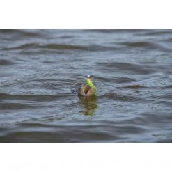 Fox Rage Micro Jig Heads 5pcs Jig Glave / Udice