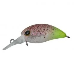 Illex CHIBI PANICRA DR