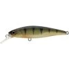 Vobler Varalice ILLEX Squad Minnow 65 SP