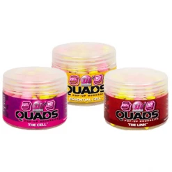 Mainline QUADS POP-UP