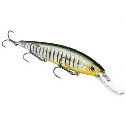STRIKE KING KVD Deep Jerkbait 3 12cm Hook
