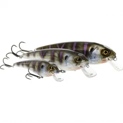 Westin RawBite Crankbait 11cm 26g Low Floating